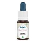 Prunus (Cherry Plum - N°6)